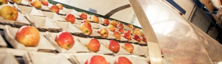 Appels op de sorteermachine