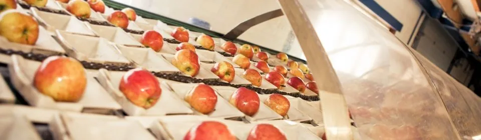 Appels op de sorteermachine
