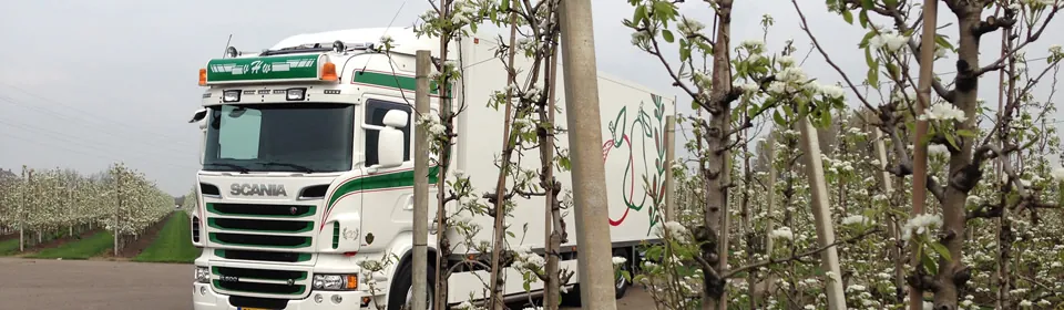 Onze vrachtwagen tussen de bloeiende perenbomen